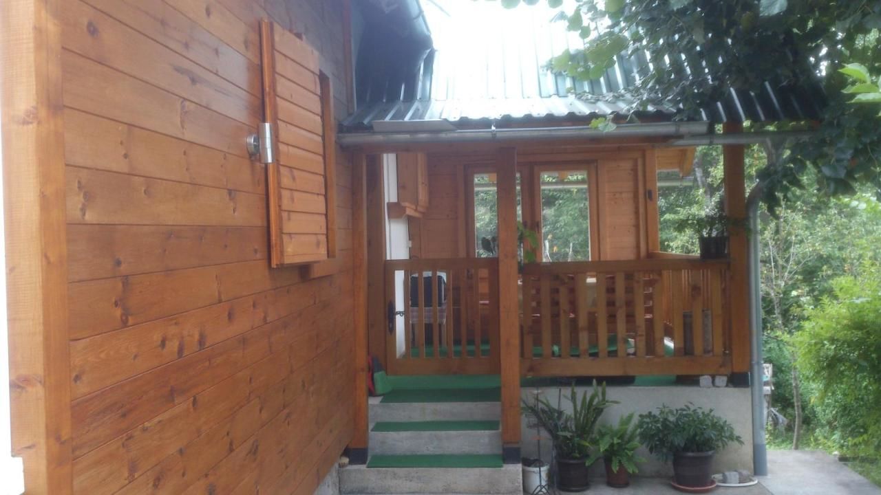 Апартаменты Apartment Dulovine Колашин