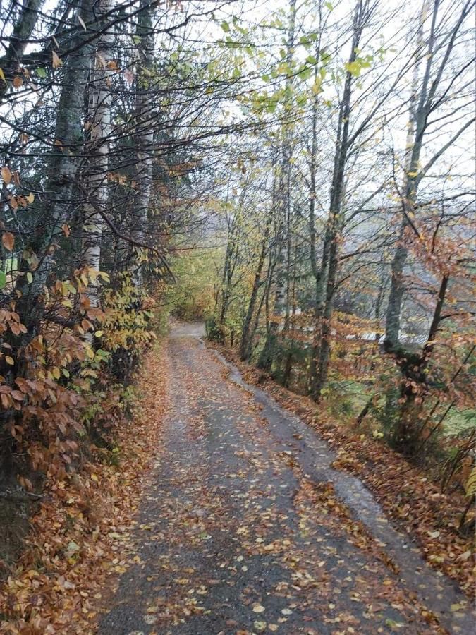 Апартаменты Apartment Dulovine Колашин-5