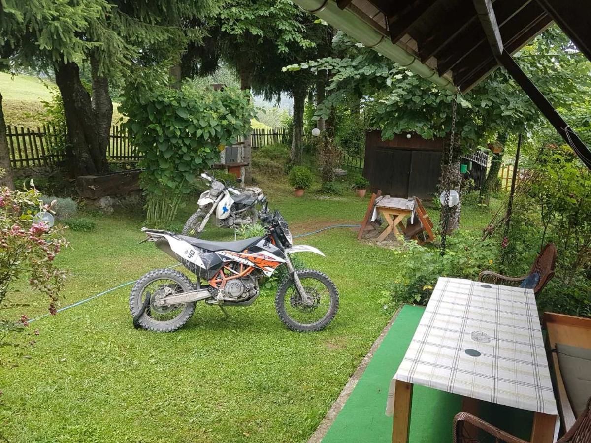 Апартаменты Apartment Dulovine Колашин