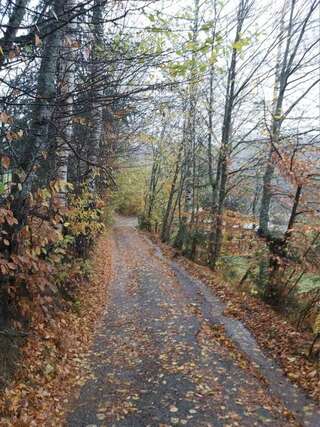 Апартаменты Apartment Dulovine Колашин-1