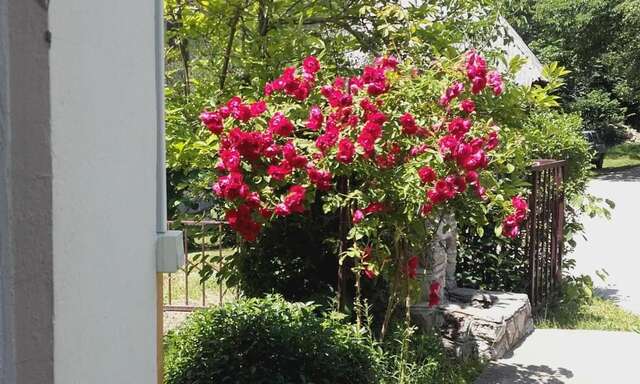 Апартаменты Apartment Dulovine Колашин-56